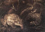SCHRIECK, Otto Marseus van, Still-Life with Insects and Amphibians (detail) qr